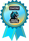 kochi blue tigers achievements