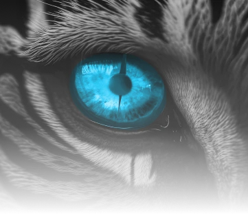 kochi blue tigers