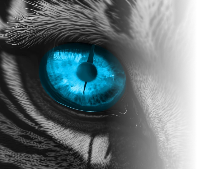kochi blue tigers